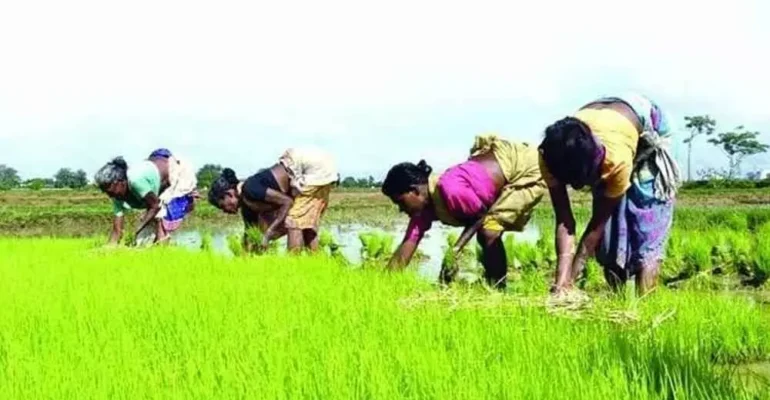 Farmer support schemes Agriculture in Telangana